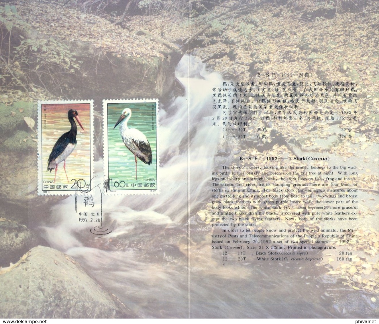 CHINA , 1992 , AVES , CIGÜEÑAS - STORK, CARPETA OFICIAL - Used Stamps