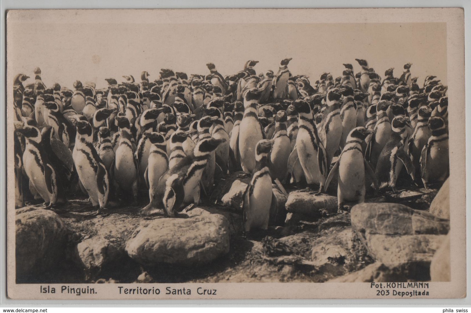 Isla Pinguin - Territoria Santa Cruz - Photo: Kohlmann No. 203 - Argentine