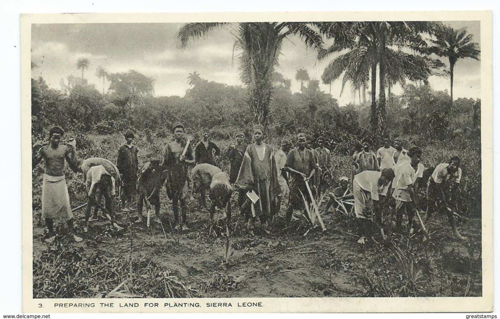 Africa Postcard Sierra Leone Preparing The Land For Planting Tucks Postcard Unused - Sierra Leone