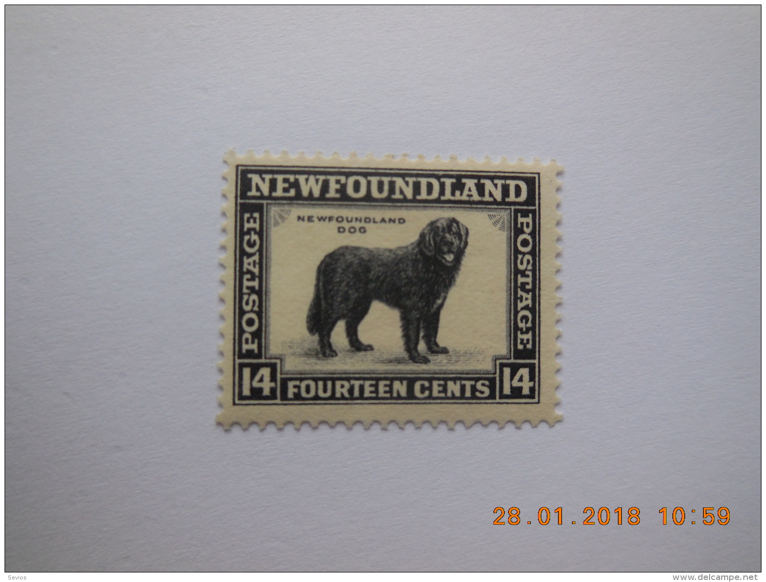 Sevios / Canada / New Foundland / Stamp **, *,(*) Or Used - 1865-1902