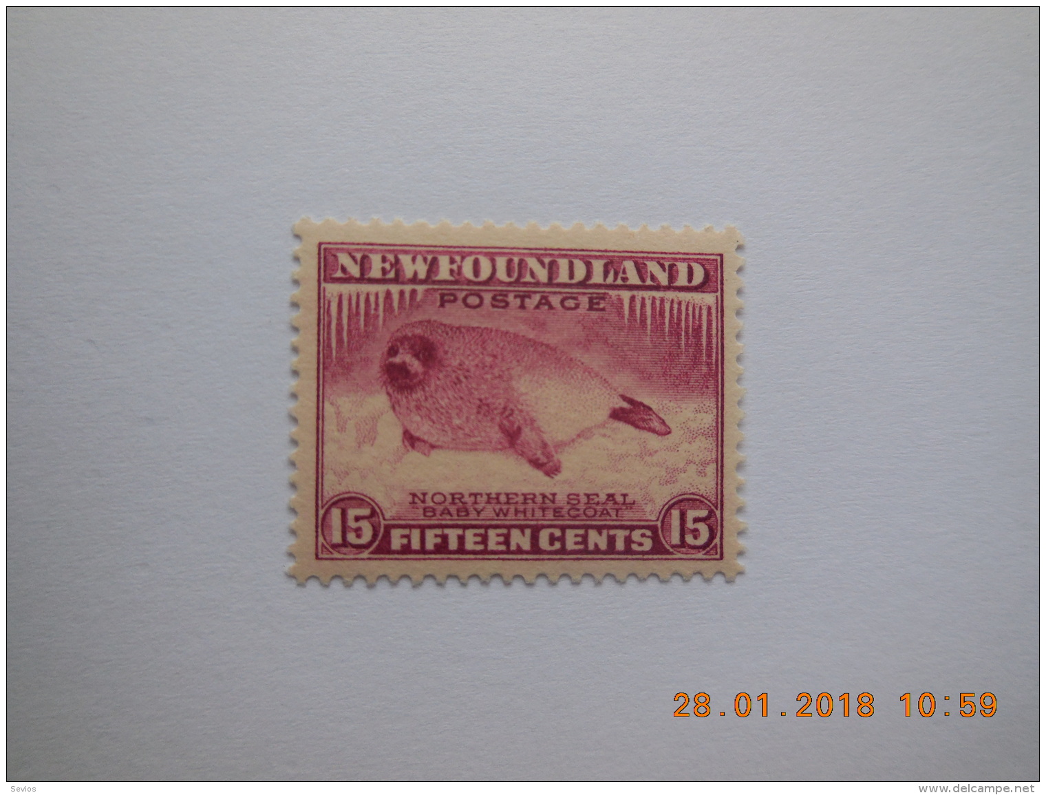 Sevios / Canada / New Foundland / Stamp **, *,(*) Or Used - 1865-1902