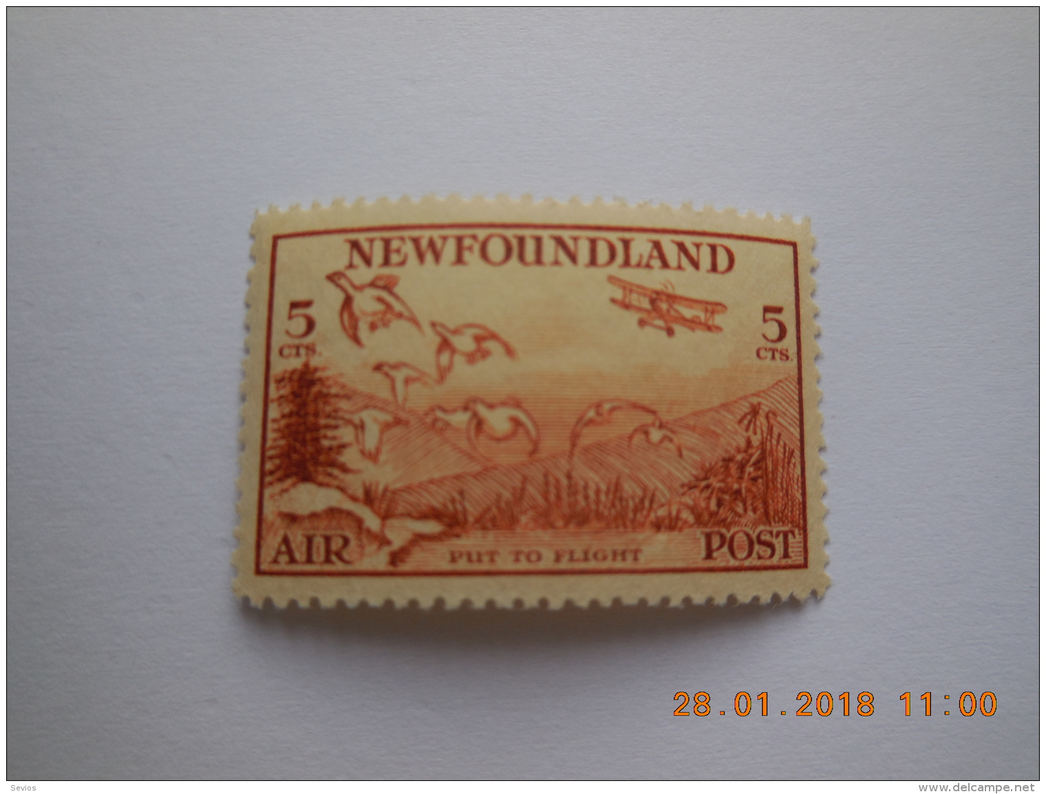 Sevios / Canada / New Foundland / Stamp **, *,(*) Or Used - 1865-1902