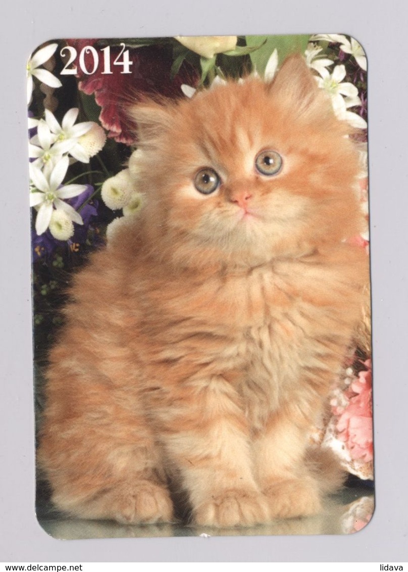 ANIMALS Pocket Calendar Cat Cats 2014 UKRAINE Fauna - Small : 2001-...