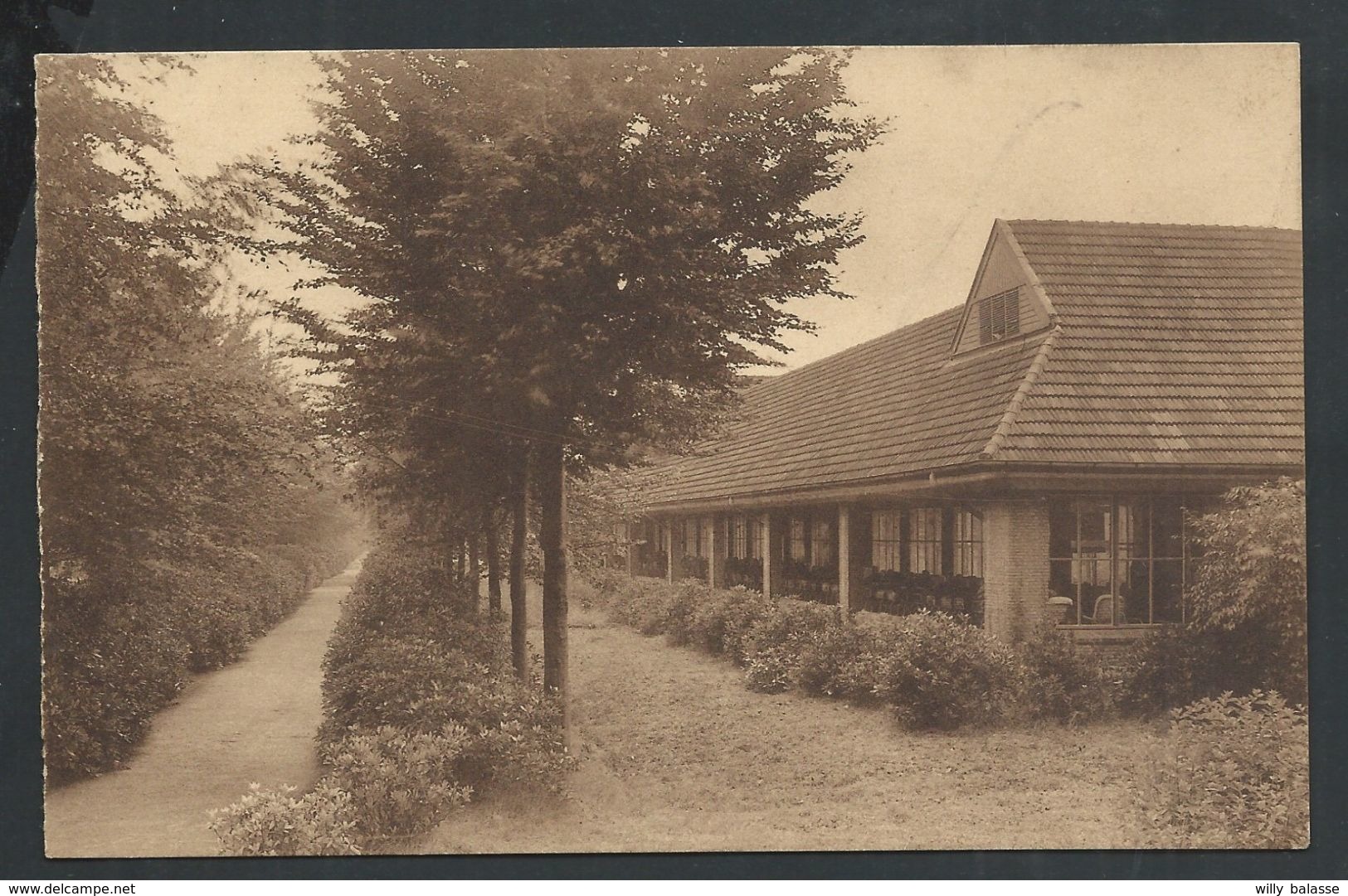 +++ CPA - ST ANTONIUS - BRECHT - Sanatorium Joostens - Beukendreef En Lighalle - Nels  // - Brecht