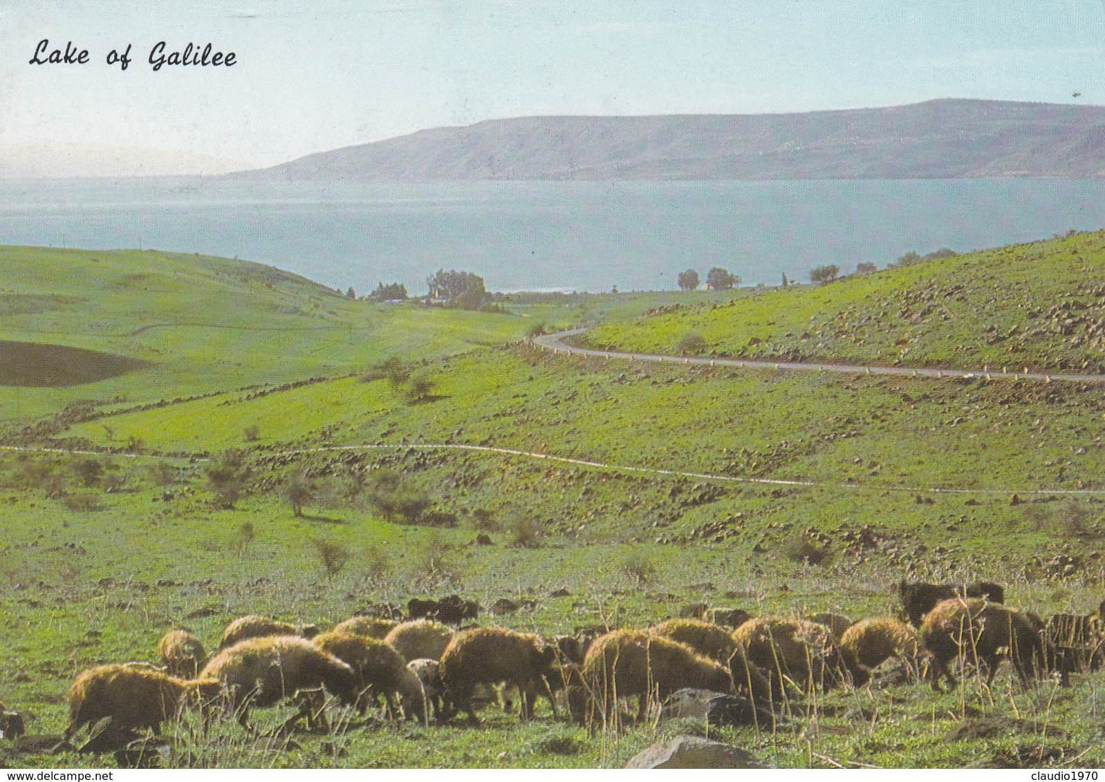 CARTOLINA - POSTCARD - ISRAELE  - LAKE OF GALILEE - Israele