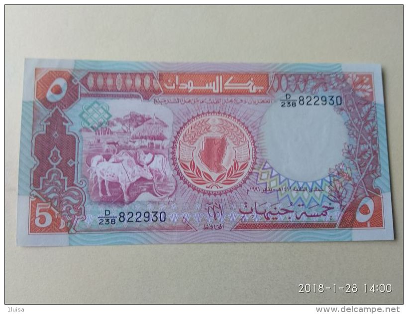 5 Pound 1991 - Sudan