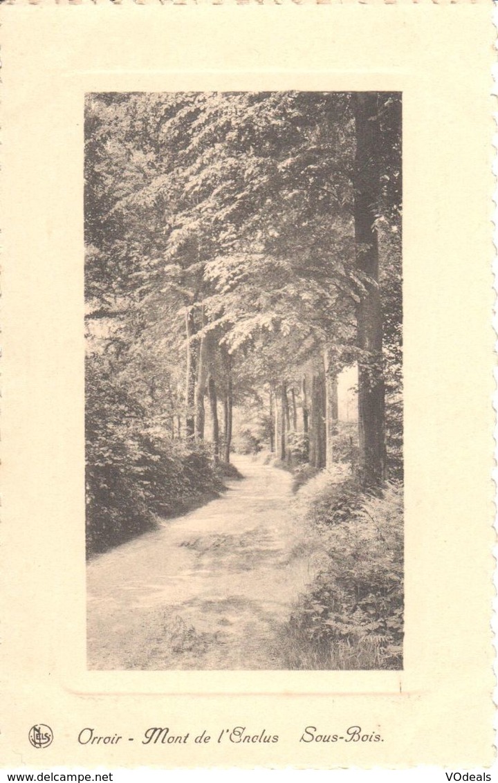 039 018 - CPA - Belgique - Mont-de-l'Enclus - Sous-Bois - Kluisbergen