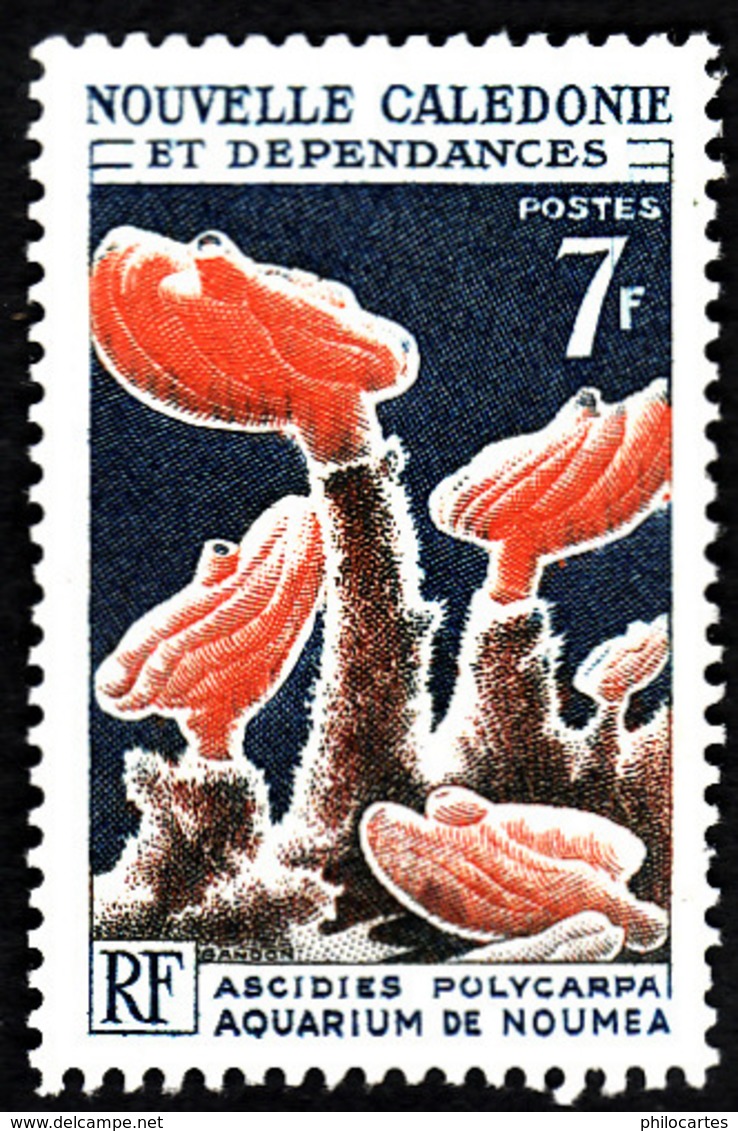 Nouvelle Calédonie  1964-65 -   YT 322  -  Ascidies Polycarpa -  NEUF** - Cote 2.50e - Neufs