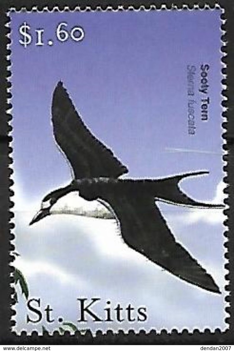 St Kitts 2001 - MNH - Sooty Tern (Onychoprion Fuscatus - Seagulls