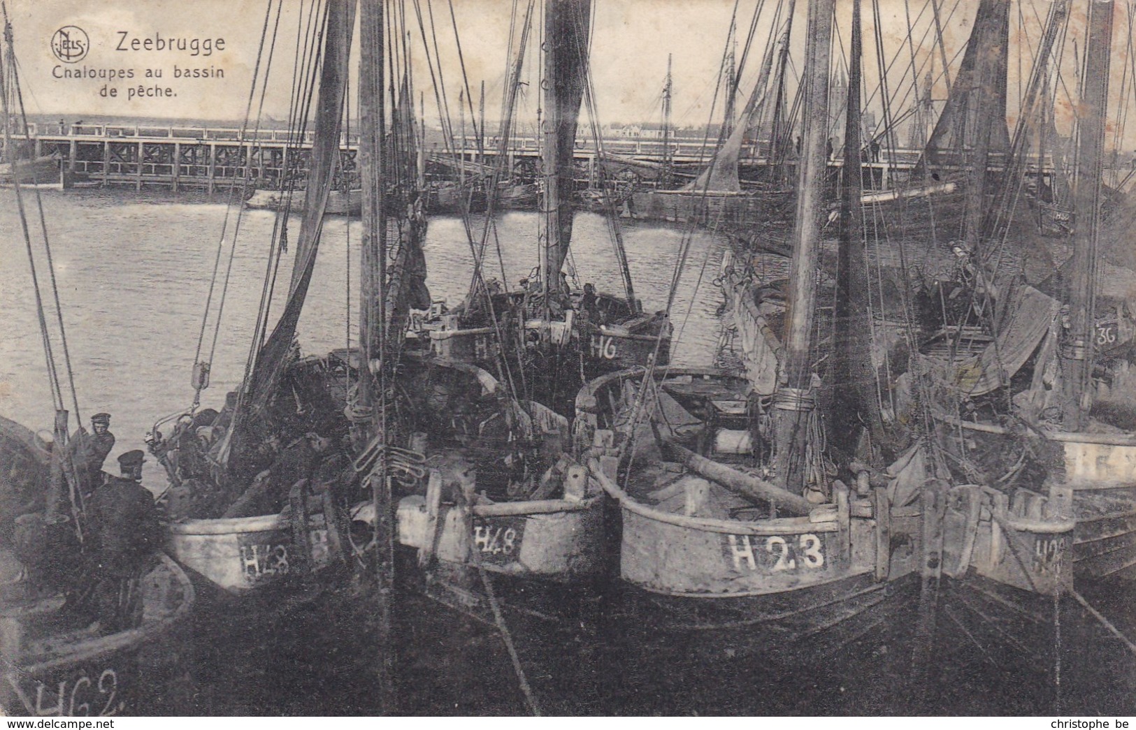 Zeebrugge, Chaloupes Au Bassin De Pêche (pk42397) - Zeebrugge