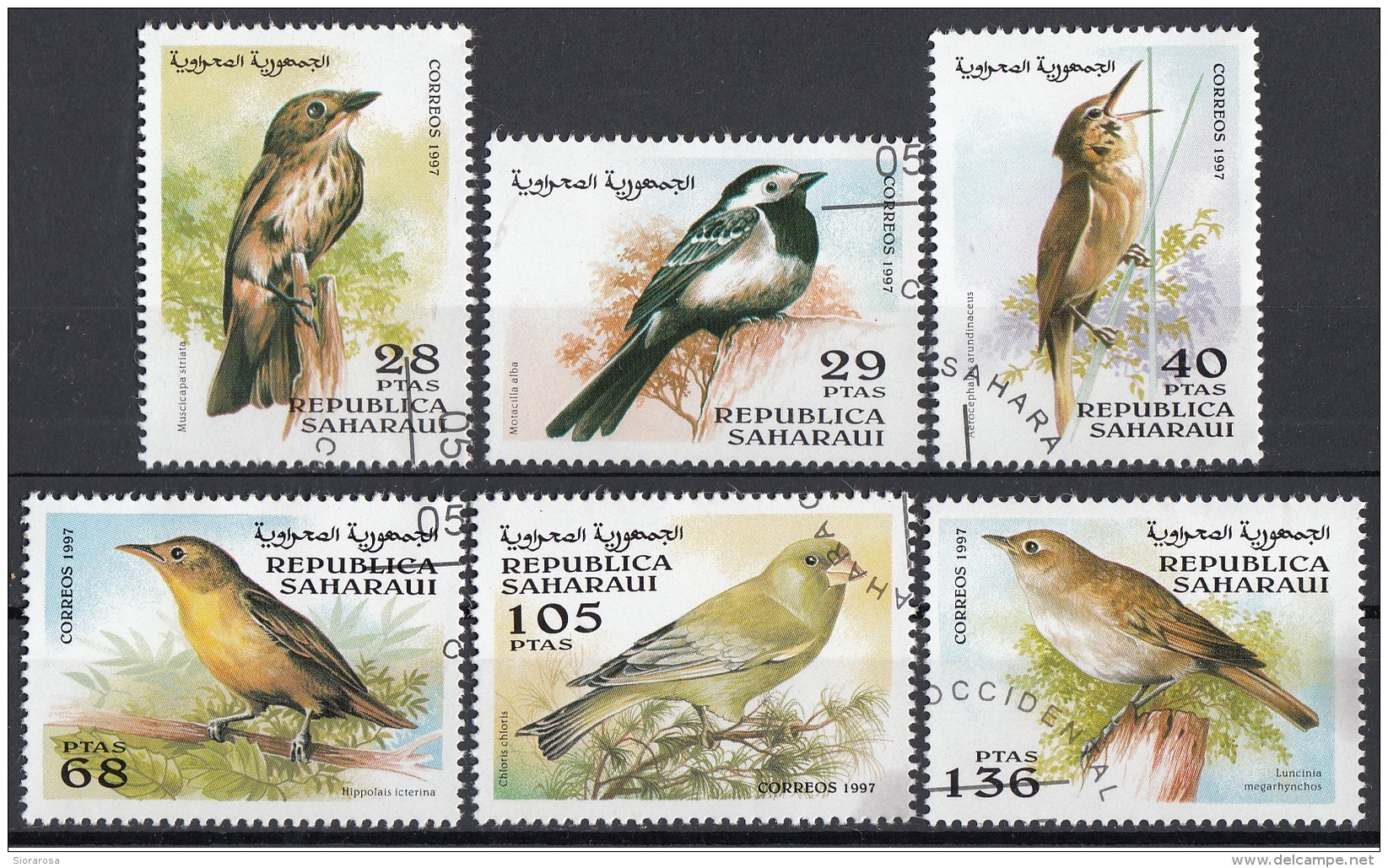 Saharaui 1997 Birds Uccelli  Serie Completa CTO - Sparrows