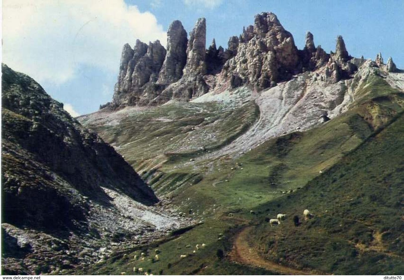 Dente Di Terra Rossa Presso Il Rifugio Alpe Di Siusi - Trento - 2019 - Formato Grande Viaggiata – E 4 - Trento