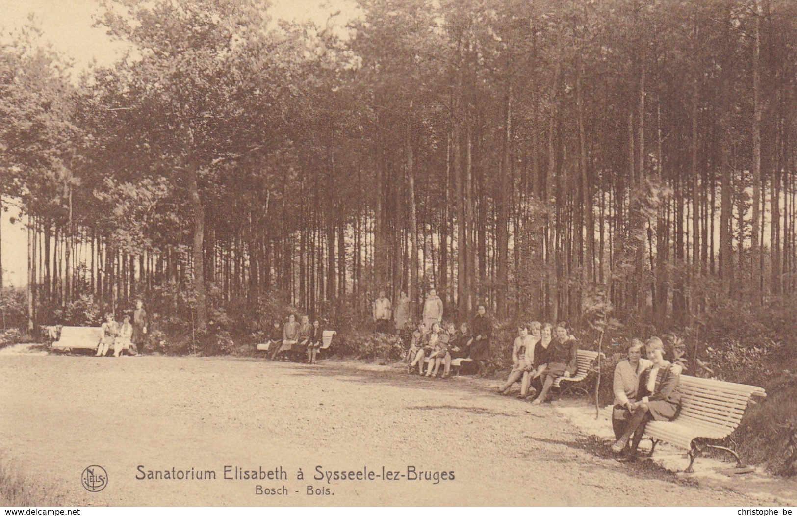 Sijsele, Sanatorium Elisabeth A Sysseele Lez Bruges, Bosch (pk42427) - Damme