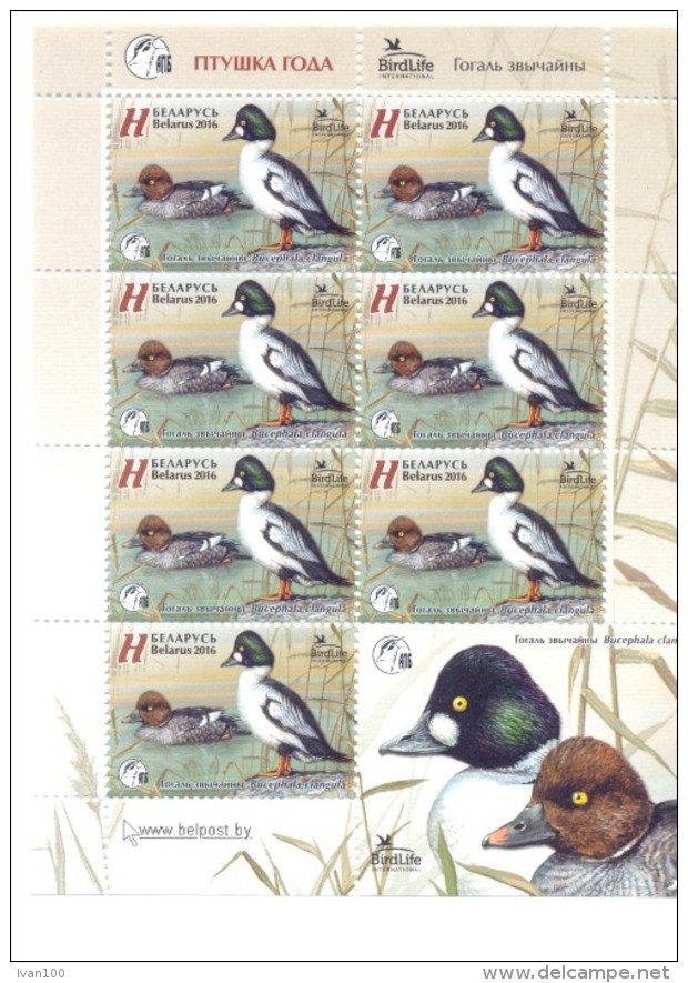 2016. Belarus, Bird Of The Year, Common Goldeneye, Sheetlet, Mint/** - Belarus