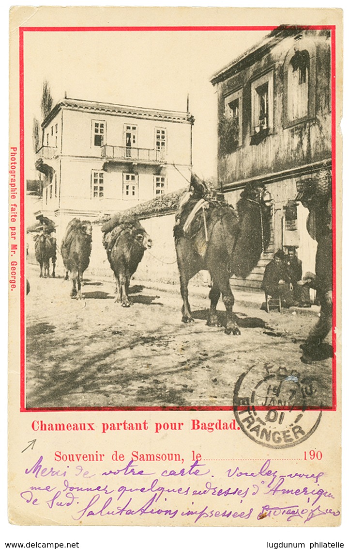 332 "OVERLAND MAIL - CHAMEAUX Partant Pour BAGDAD" : 1901 SAGE 5c(x2) Obl. SAMSOUN TURQUIE Sur Magnifique Carte "CHAMEAU - Altri & Non Classificati