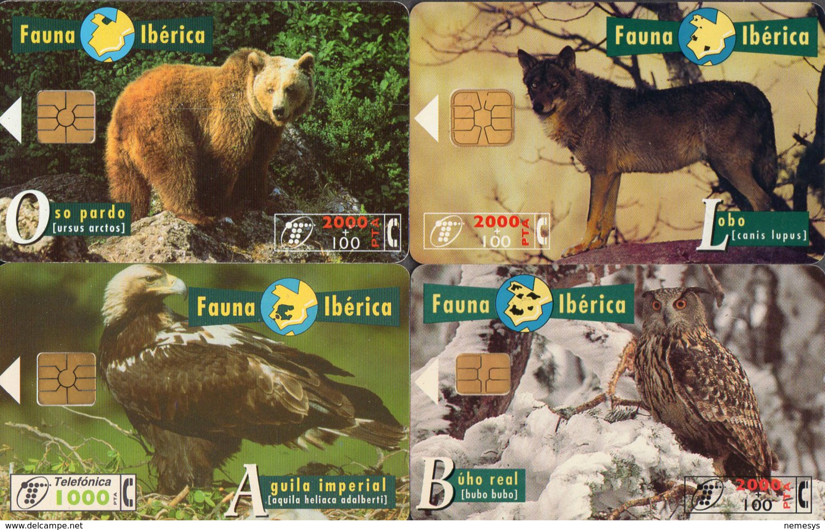 4 Phone Cards Espana - Spanish Cards - Spagna FAUNA IBERICA Bear Eagle Wolf Owl - Altri & Non Classificati