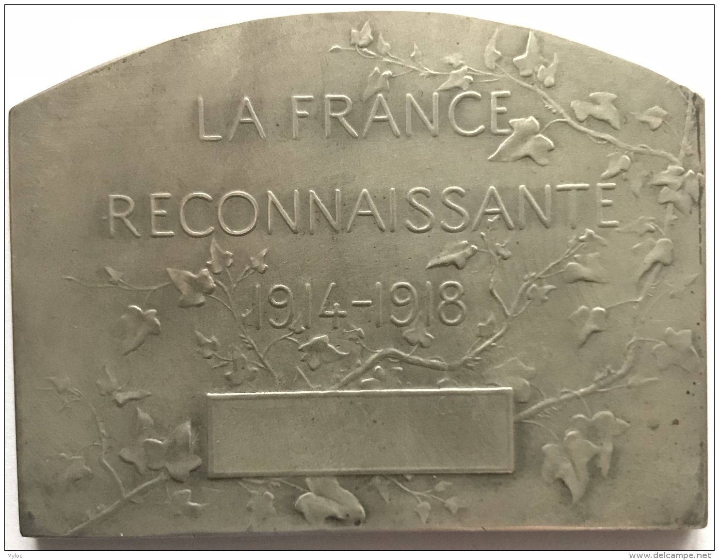 Médaille. La France Reconnaissante 1914-1918. Stern. 70 X 55 Mm - 1914-18