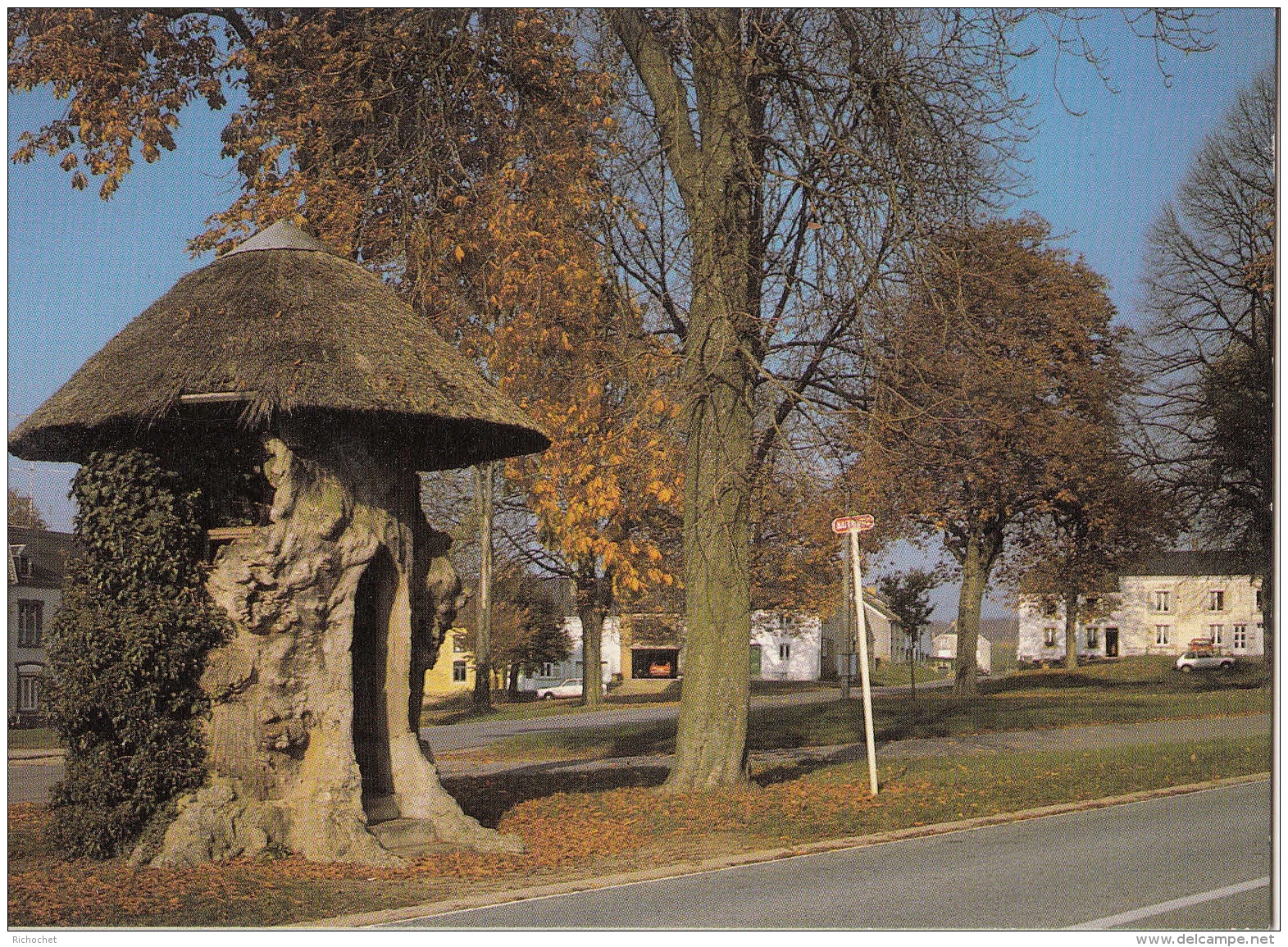 Gerouville - Orme Planté En 1258 "Le Vieux Tilleul" - Meix-devant-Virton