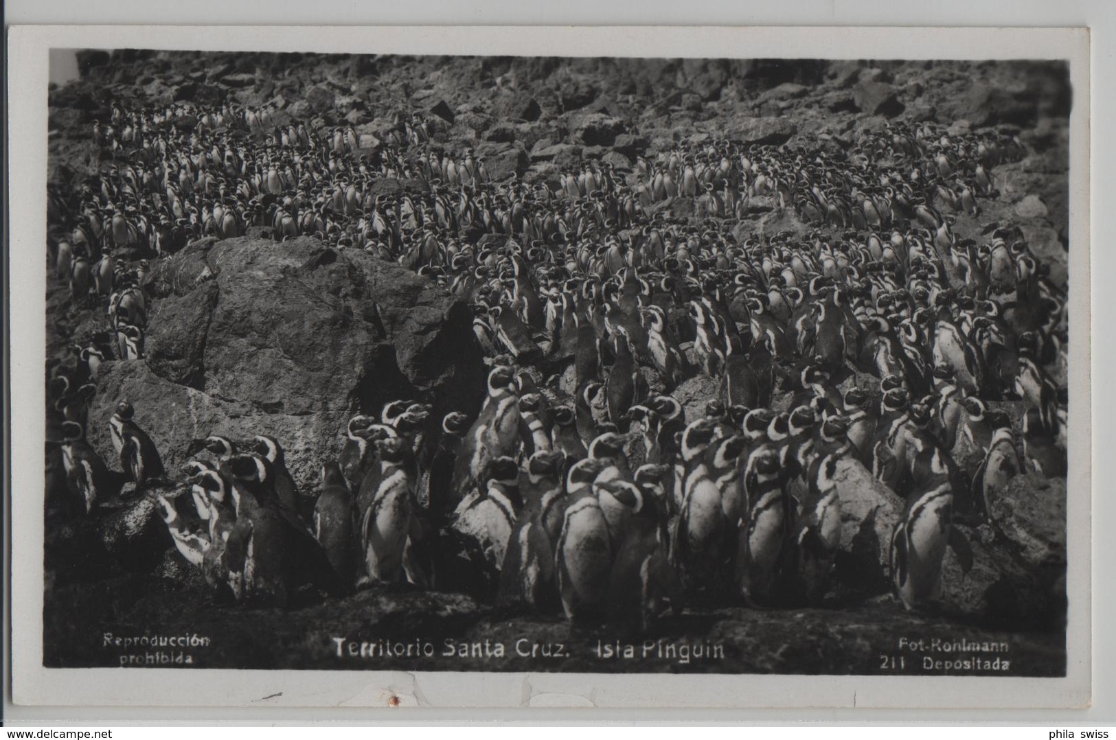 Isla Pinguin - Territoria Santa Cruz - Photo: Kohlmann No. 211 - Argentine
