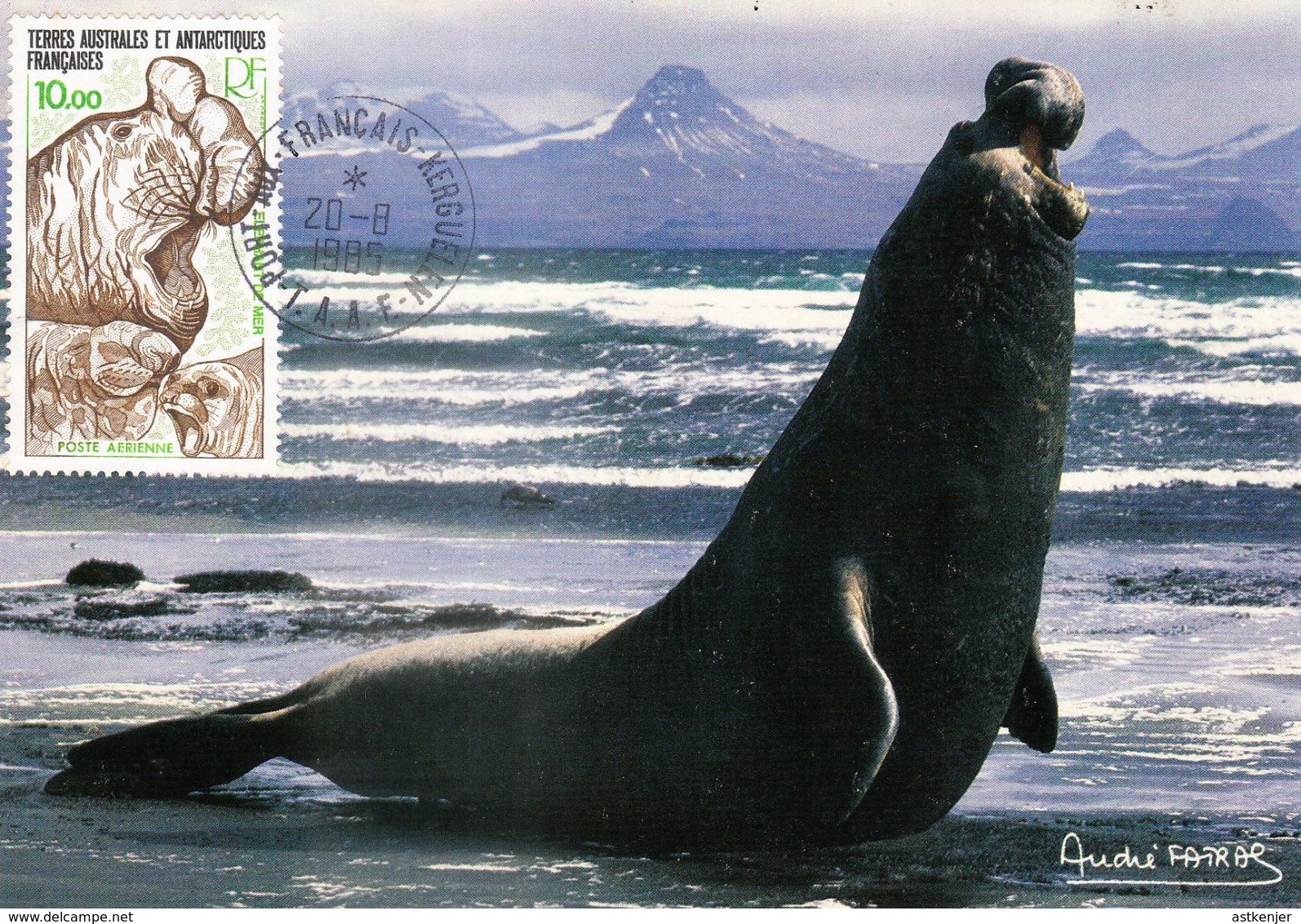 TERRES AUSTRALES ET ANTARCTIQUES FRANCAISES (TAAF) - CARTE Datée De 1985 Avec Timbre N° PA 55 De 1978 - FDC