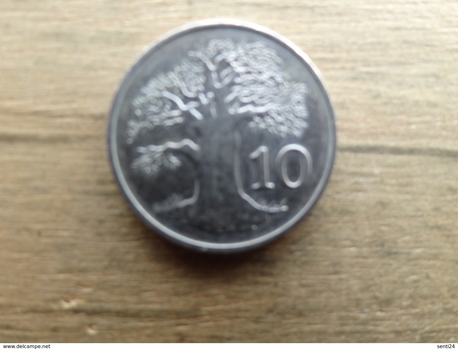 Zimbabwe  10  Cents  1994  Km 3 - Zimbabwe