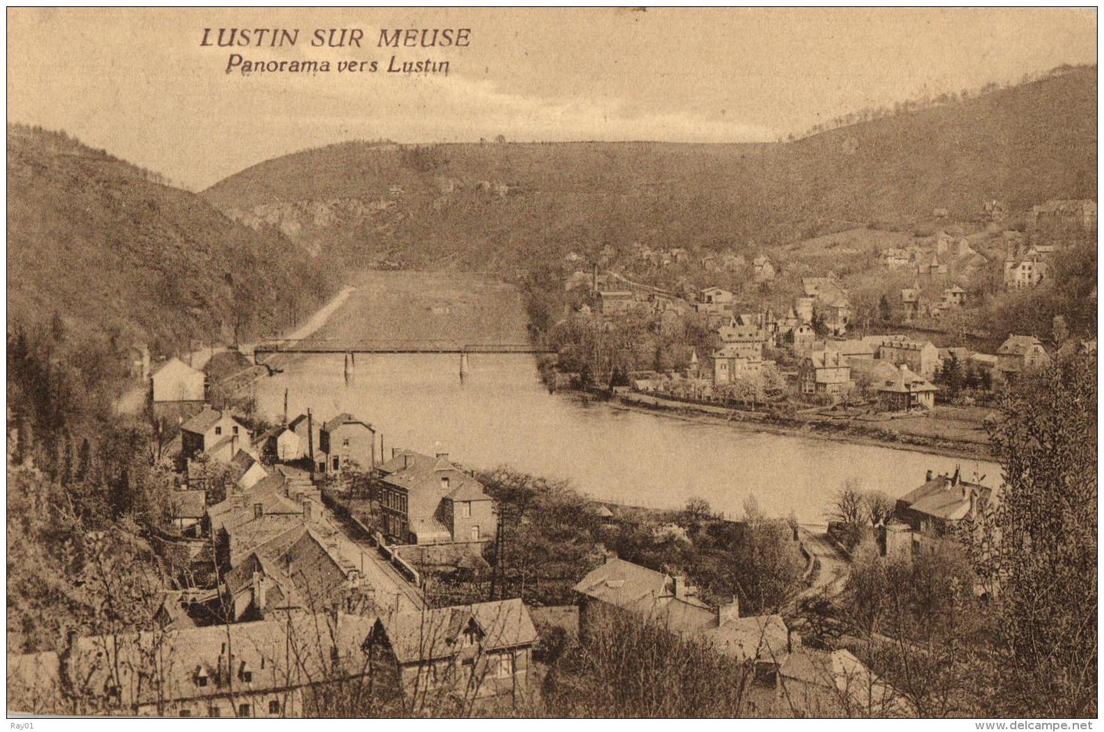 BELGIQUE - NAMUR - PROFONDEVILLE - LUSTIN  SUR  MEUSE - Panorama Vers Lustin. - Profondeville