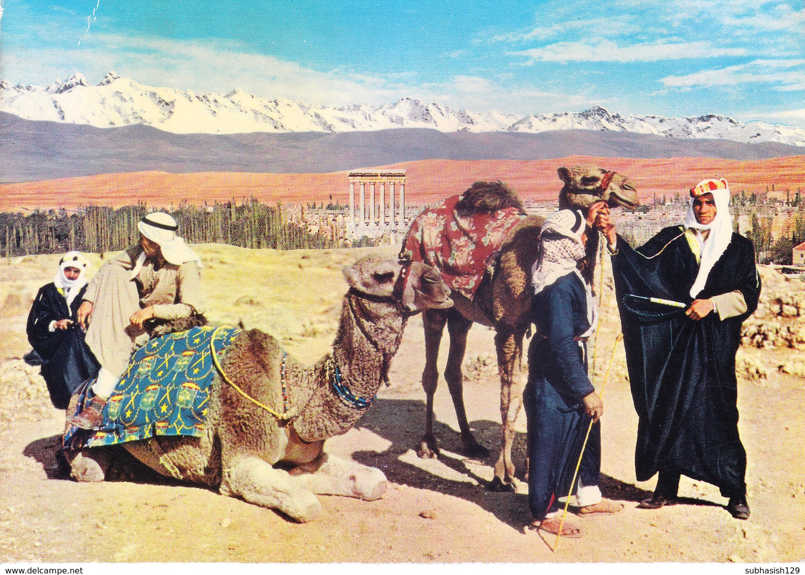 LEBANON : VINTAGE COLOUR PICTURE POST CARD : TOURISM : GENERAL VIEW OF BAALBEECK & CAMEL DRIVERS - Lebanon