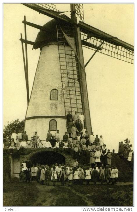 VLIMMEREN Bij Beerse (Antw.) - Molen/moulin - Mooie Close-up Van De Verdwenen Molen 'De Peperbus' (maxikaart) - Beerse