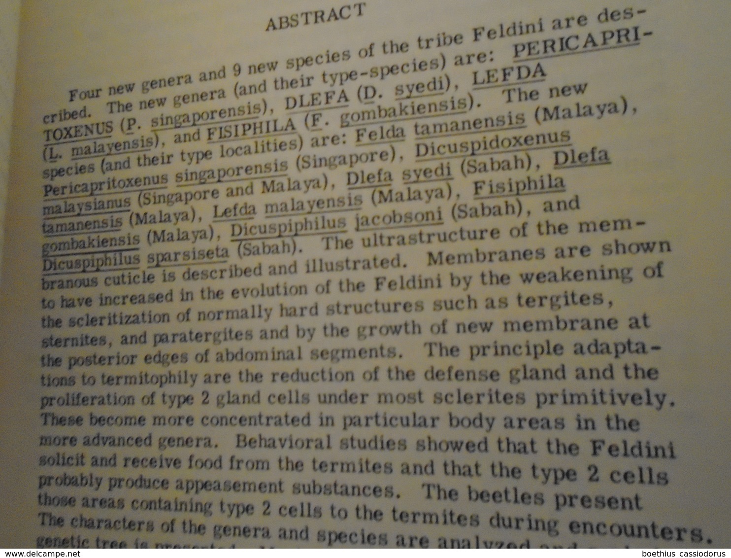 NATURAL HISTORY OF THE TERMITOPHILOUS TRIBE FELDINI (COLEOPTERA  : STAPHYLINIDAE) By DAVID H. KISTNER SOCIOBIOLOGY 1975 - Ciencias Biológicas