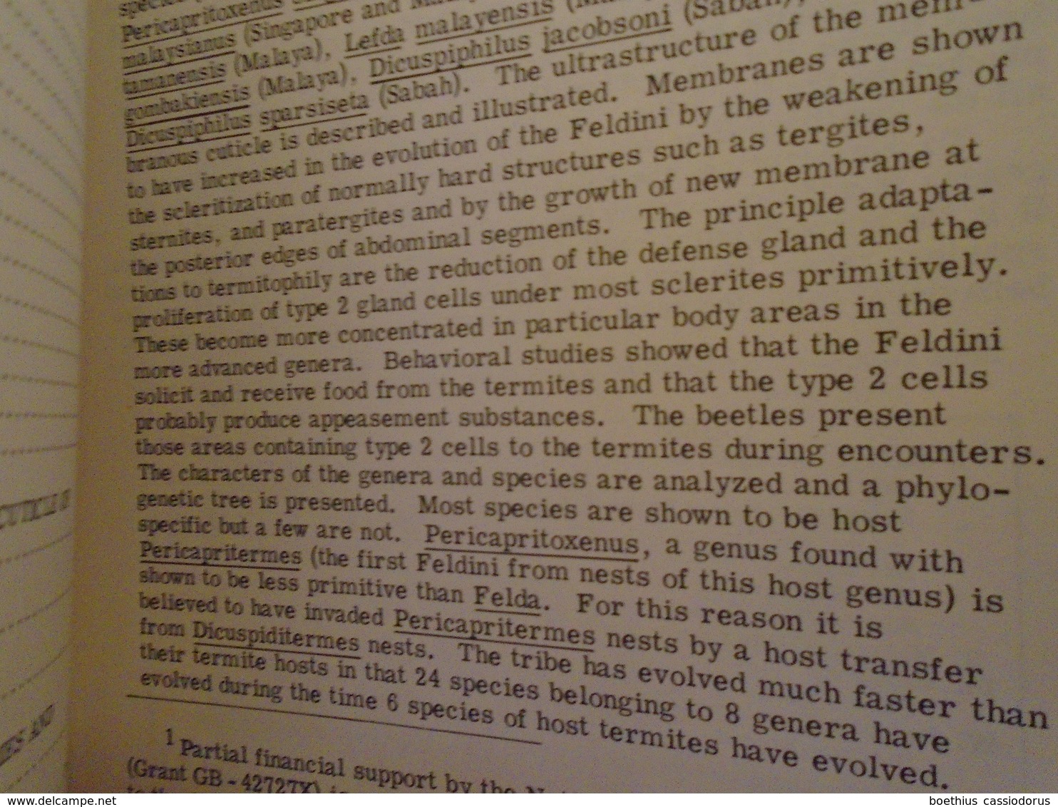 NATURAL HISTORY OF THE TERMITOPHILOUS TRIBE FELDINI (COLEOPTERA  : STAPHYLINIDAE) By DAVID H. KISTNER SOCIOBIOLOGY 1975 - Biological Science