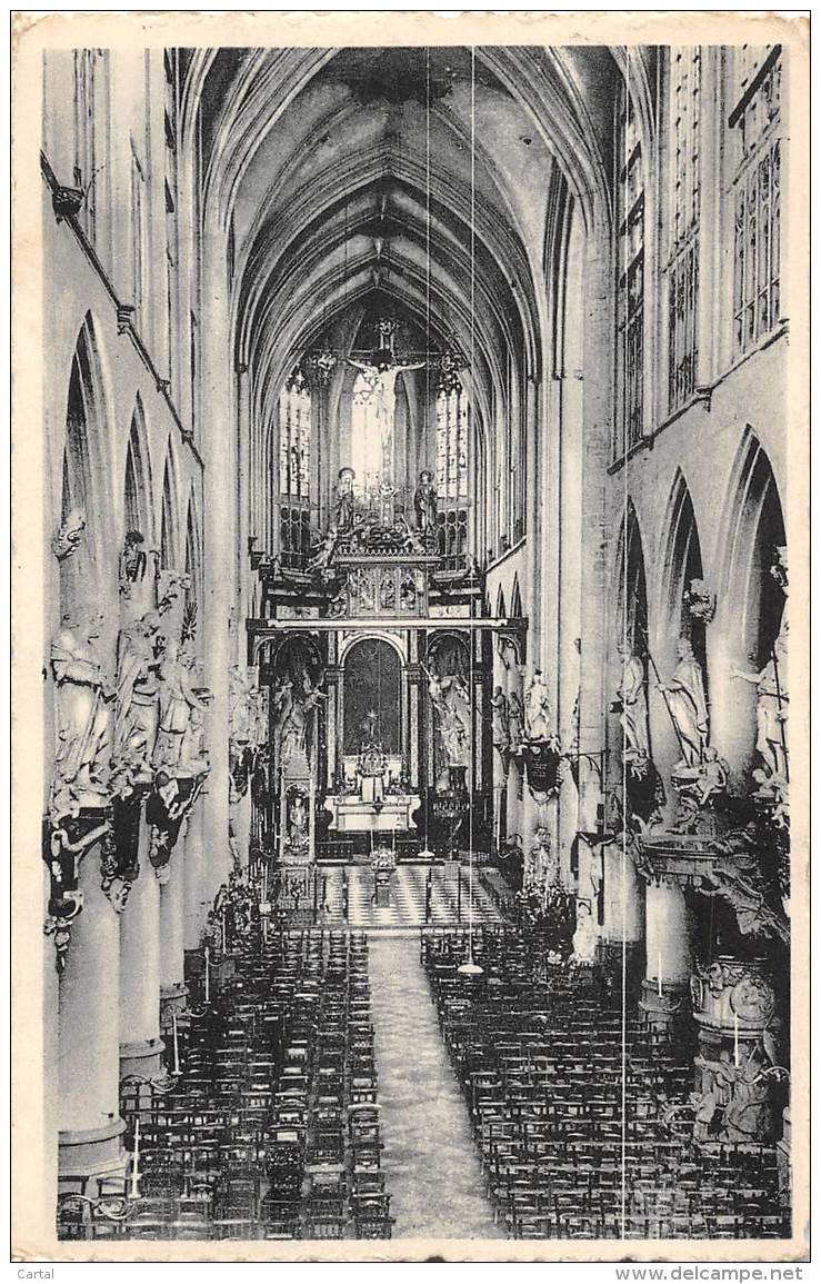 DIEST - Binnenzicht Der St-Sulpitluskerk - Diest