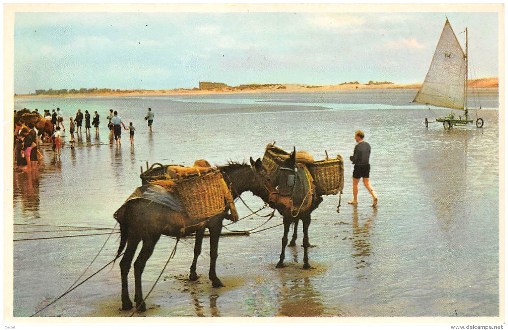 Scène De Plage - Strandleven - Andere & Zonder Classificatie