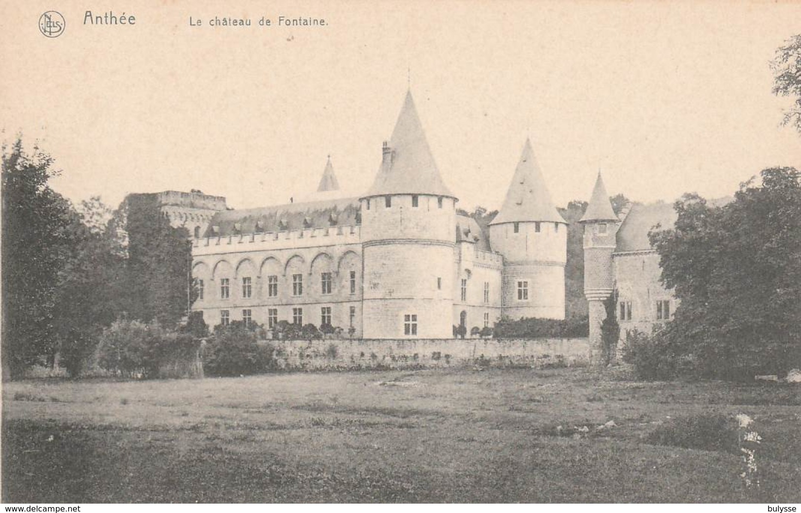 Anthee Chateau De Fontaine - Onhaye