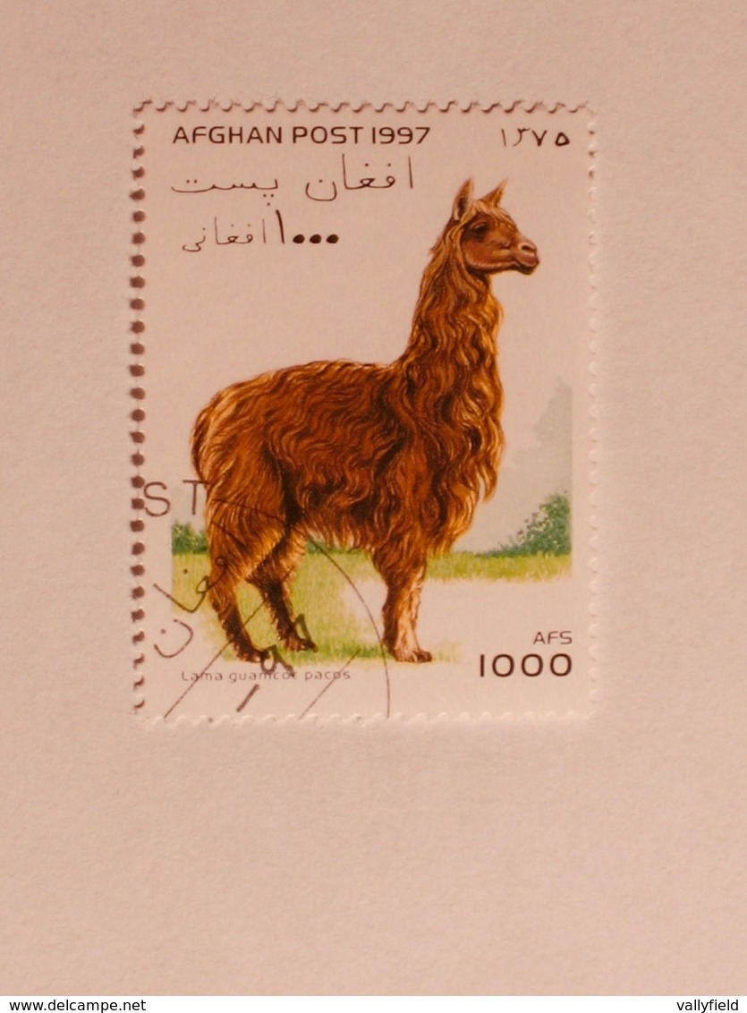 AFGHANISTAN  1997  Lot # 14  ANIMAL - Afghanistan