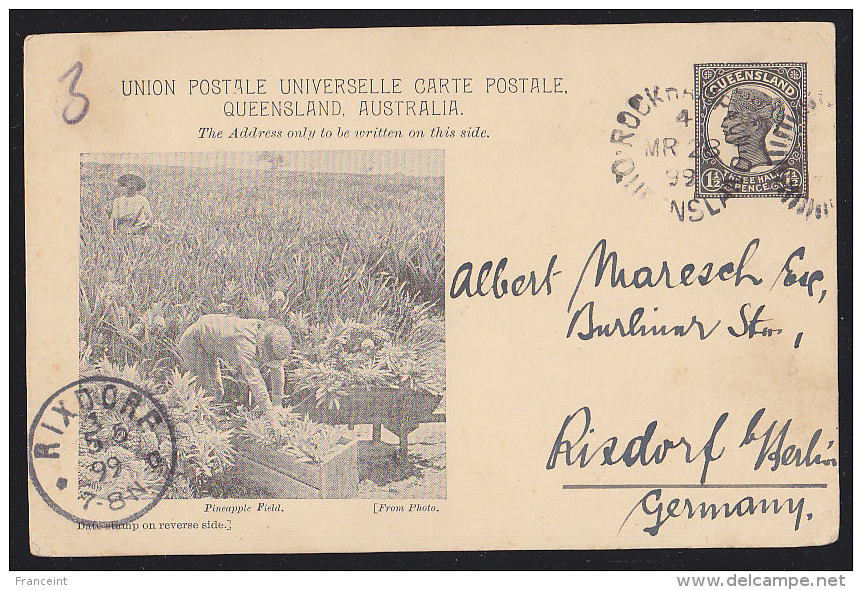 Queensland (1899) Pineapple Fields. 1-1/2p Postal Card With Photo Of Pineapple Harvest - Lettres & Documents