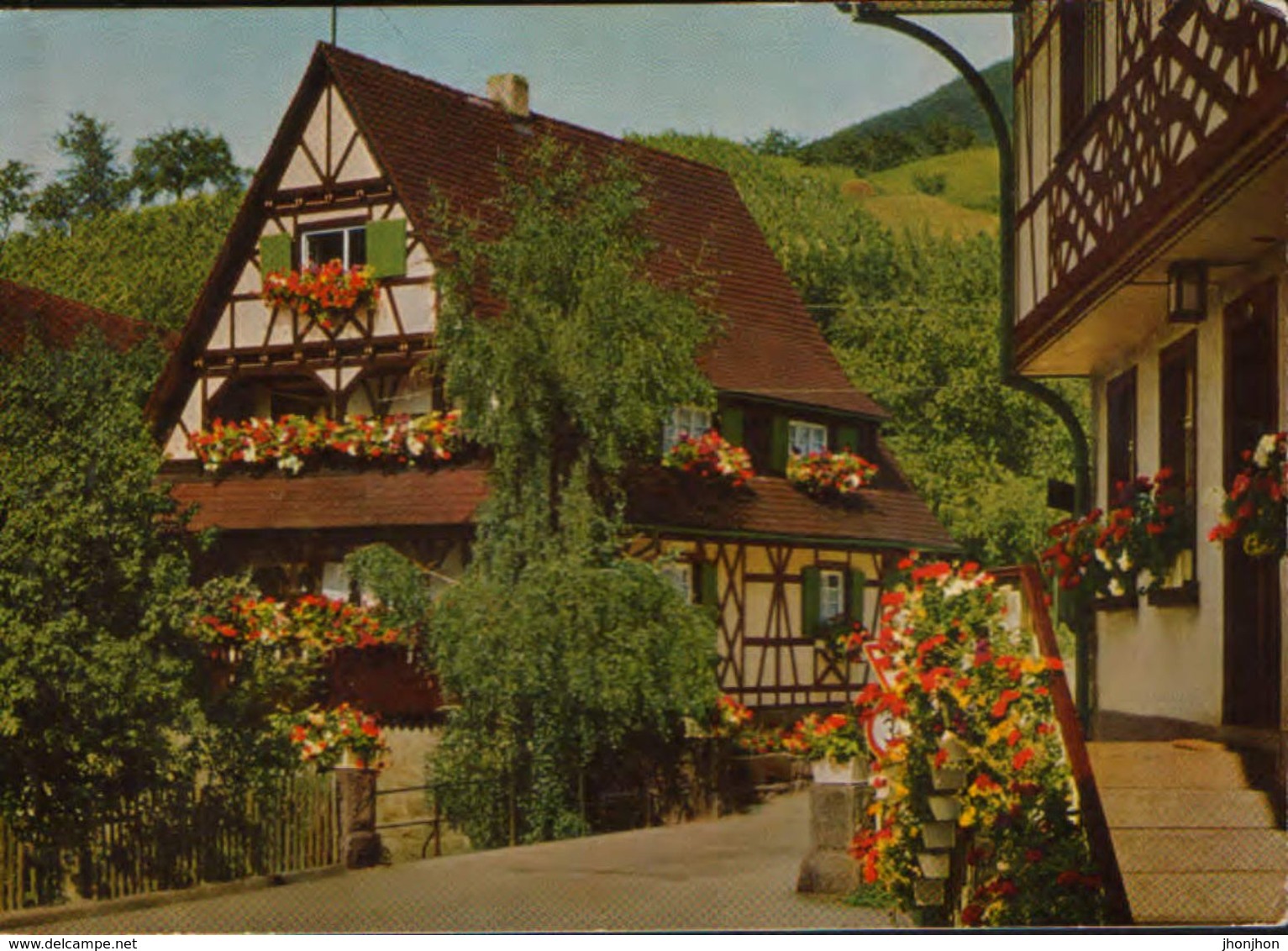 Germany - Postcard Unused  - Black Forest - Flowers And Wine Village Sasbachwalden - Sasbach