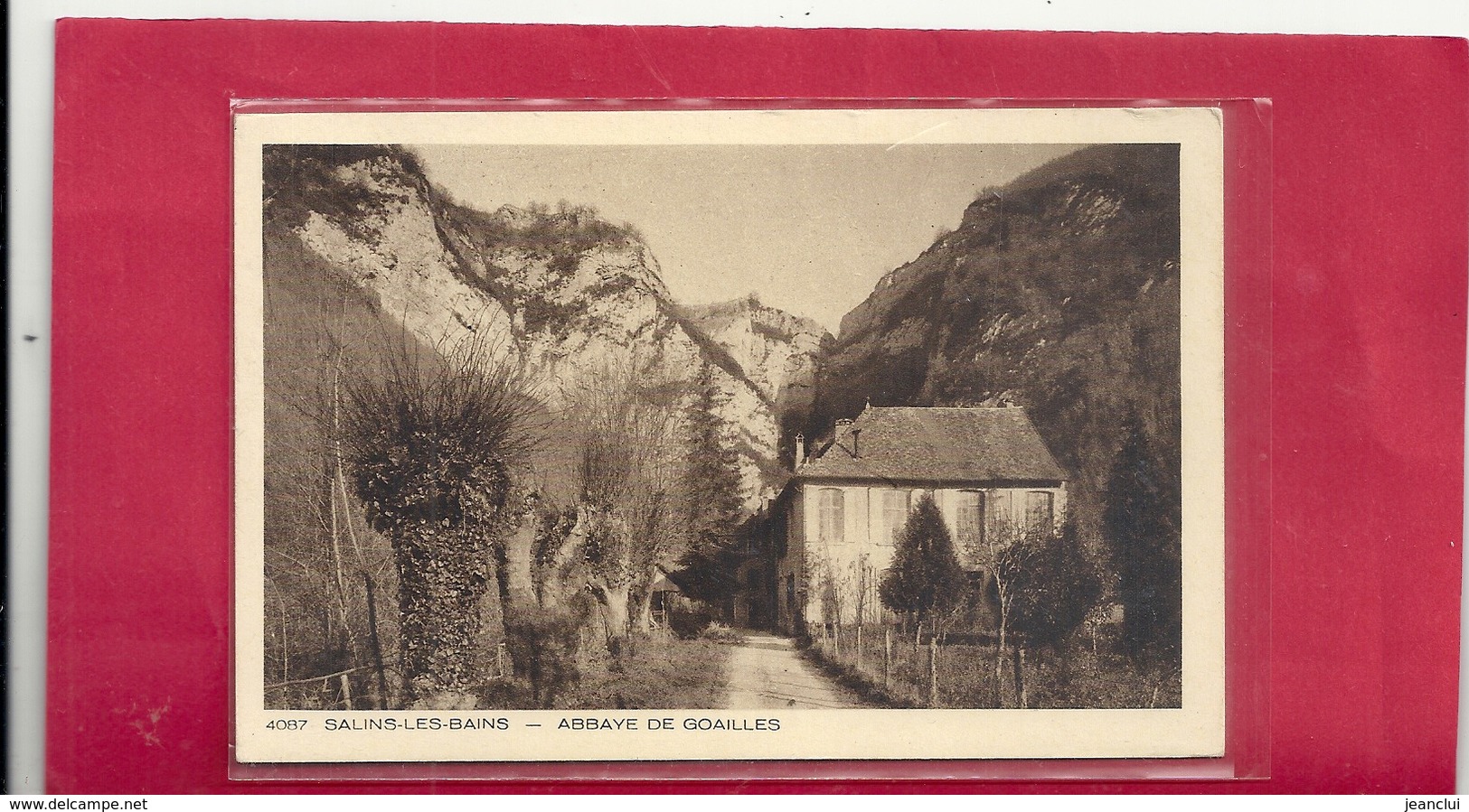 4087. SALINS-LES-BAINS . ABBAYE DE GOAILLES . NON ECRITE - Autres & Non Classés