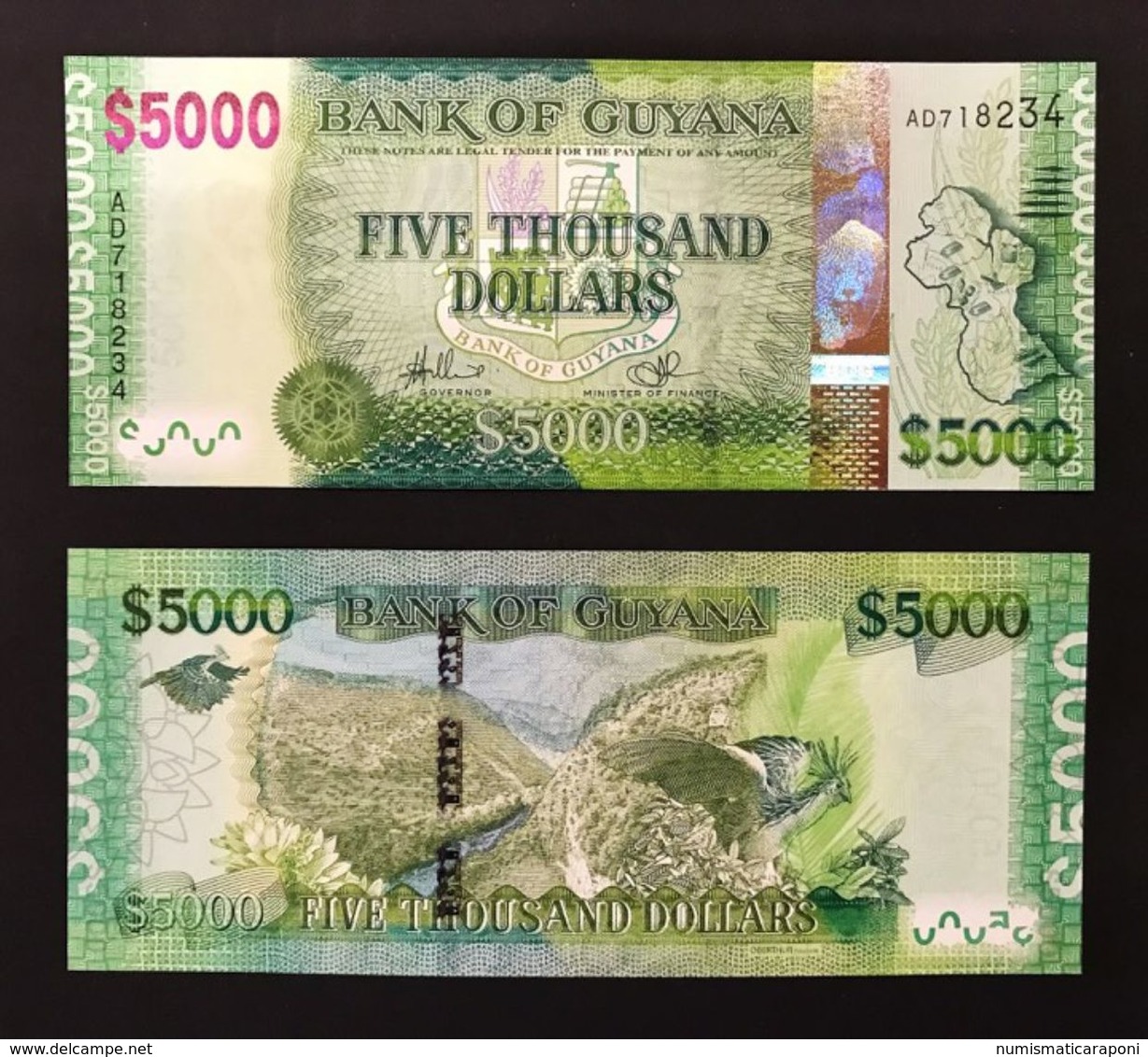 GUAYANA - GUYANA 5000 DOLLARS 2014 NEW LOTTO 317 - Guyana
