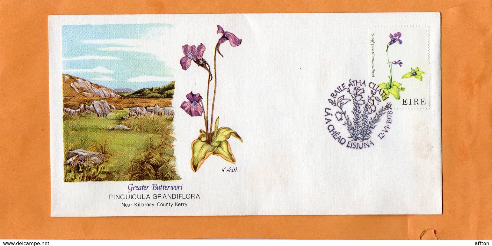 Ireland 1970 FDC - FDC