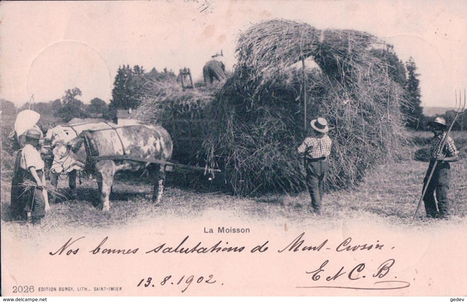 La Moisson, Récolte Du Seigle, Attelage De Boeufs (2026) Pli D'angle - Attelages