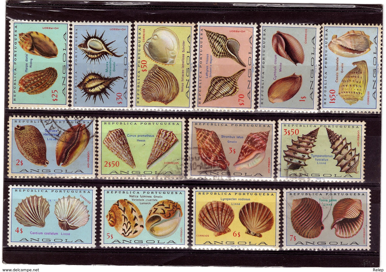 Angola - 1974 Shells / Conchas - Angola