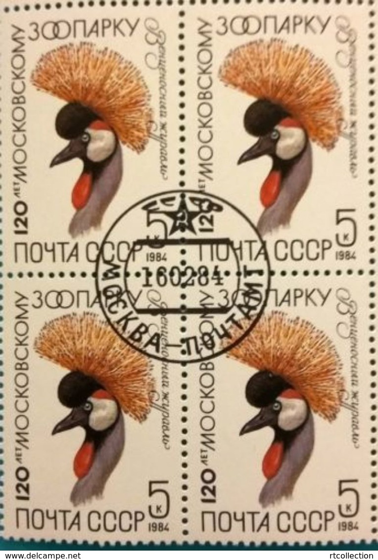 USSR Russia 1984 Block Moscow Zoo 120th Ann Animals Birds Crane Cranes Bird Nature Fauna Celebrations Stamps CTO Mi 5356 - Gru & Uccelli Trampolieri