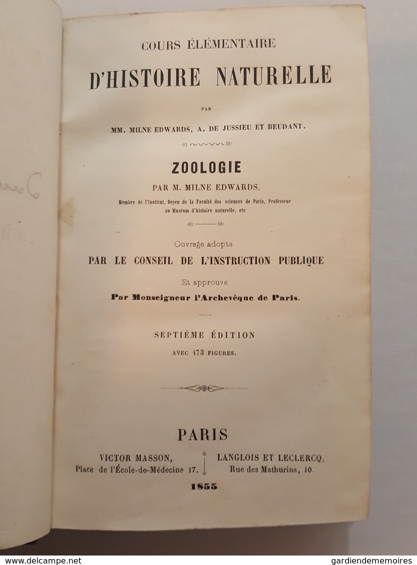 1855 Cours élémentaire D'histoire Naturelle, Zoologie Par Milne Edwards, 473 Figures - Nature