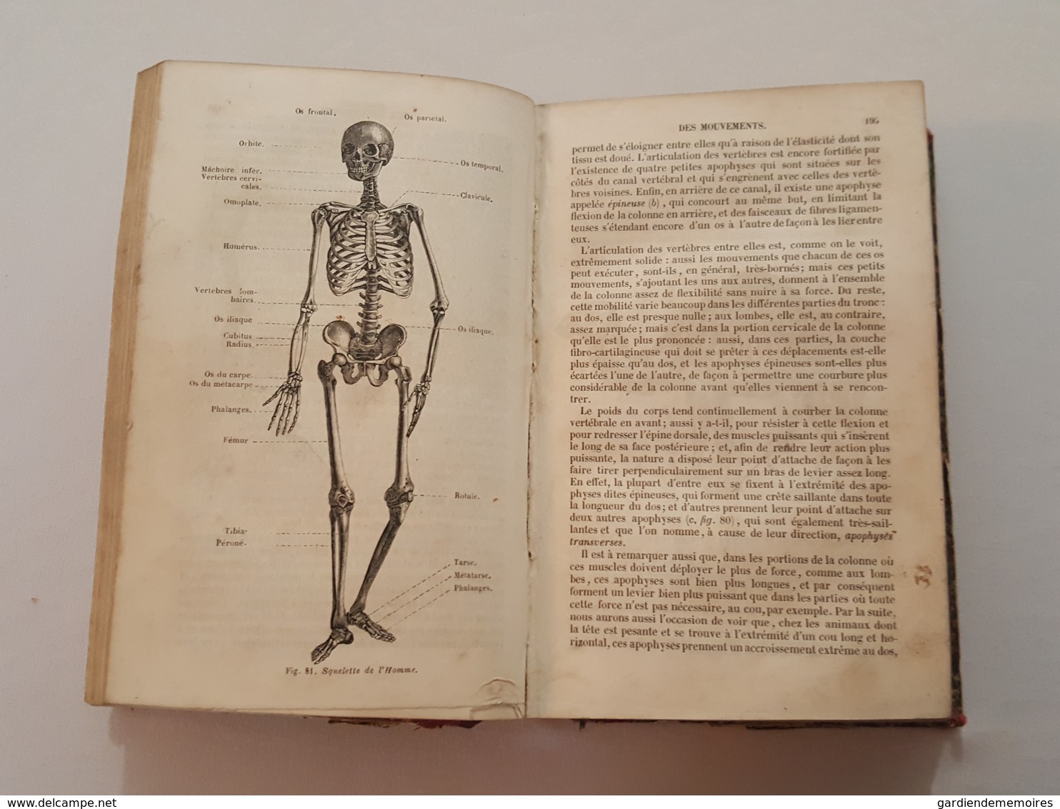 1855 Cours élémentaire d'histoire naturelle, Zoologie par Milne Edwards, 473 figures