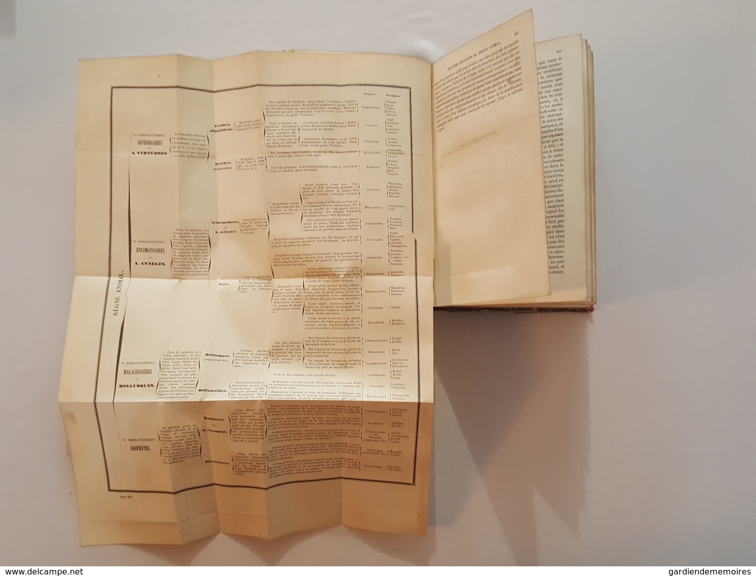 1855 Cours élémentaire d'histoire naturelle, Zoologie par Milne Edwards, 473 figures