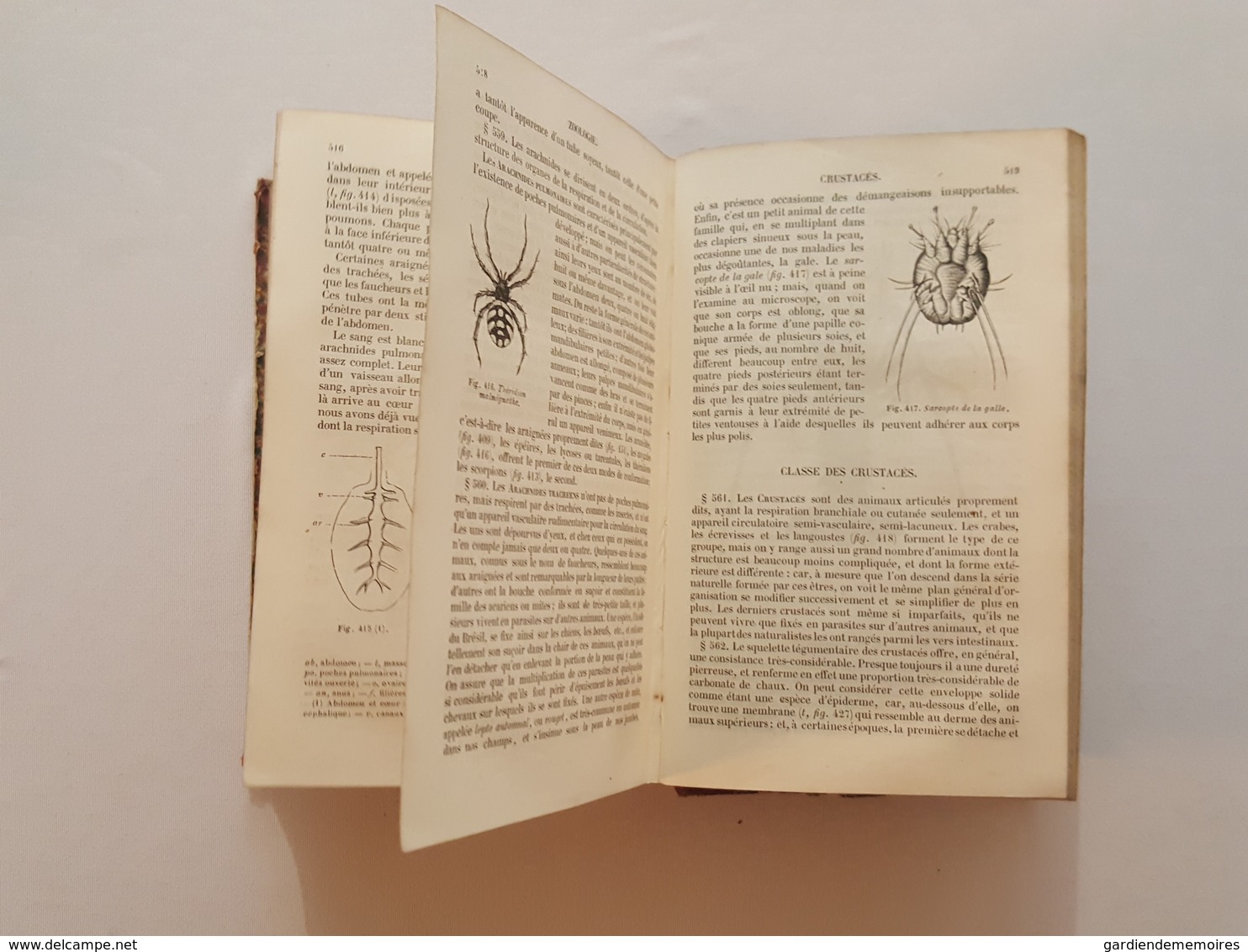 1855 Cours élémentaire d'histoire naturelle, Zoologie par Milne Edwards, 473 figures