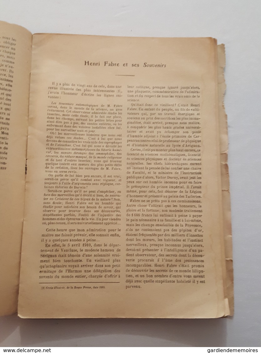 Croquis Entomologiques Par Le Chanoine Ch. De Labonnefon (La Rochelle), Notices Sur Henri Fabre, Dessins De L'auteur - Nature