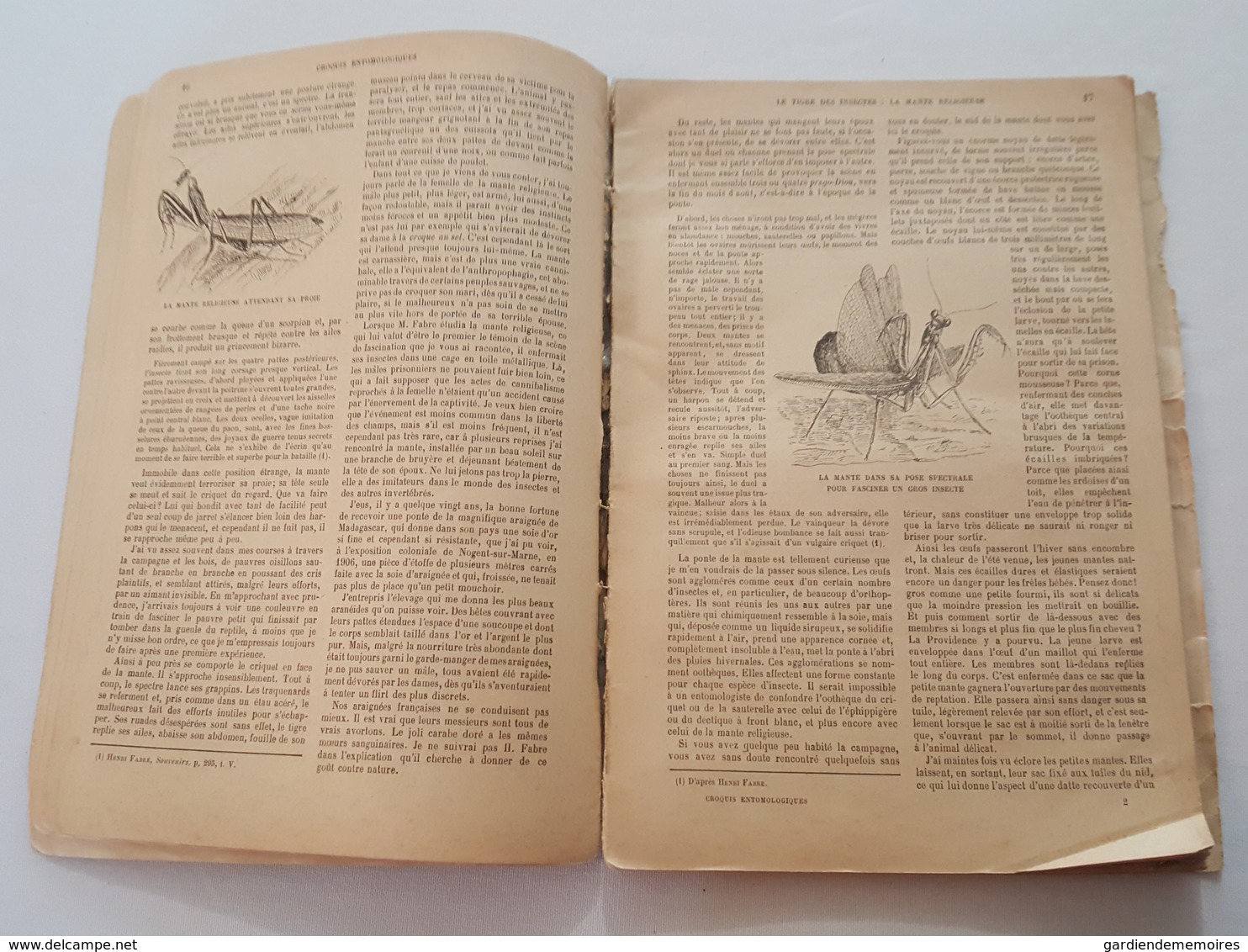 Croquis Entomologiques Par Le Chanoine Ch. De Labonnefon (La Rochelle), Notices Sur Henri Fabre, Dessins De L'auteur - Nature