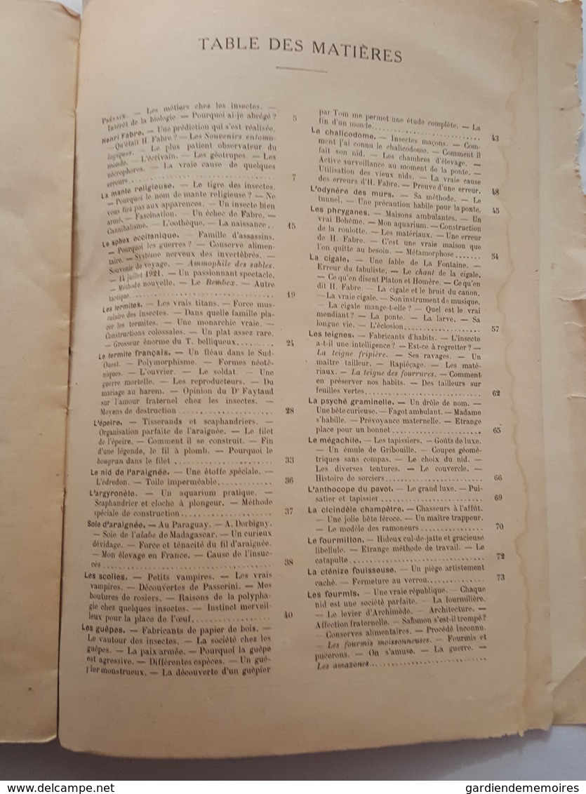 Croquis Entomologiques par le Chanoine Ch. de Labonnefon (La Rochelle), Notices sur Henri Fabre, dessins de l'auteur