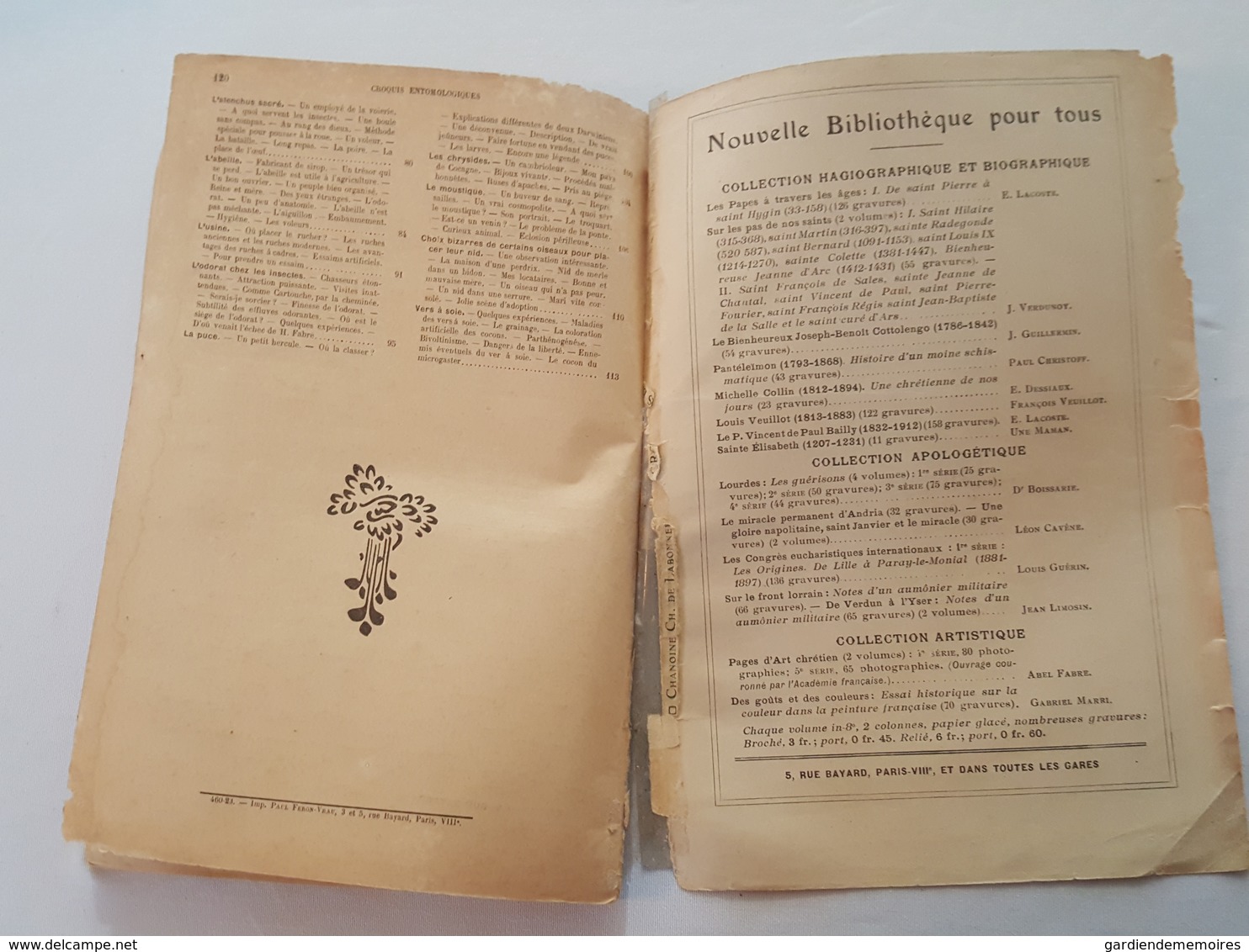 Croquis Entomologiques par le Chanoine Ch. de Labonnefon (La Rochelle), Notices sur Henri Fabre, dessins de l'auteur